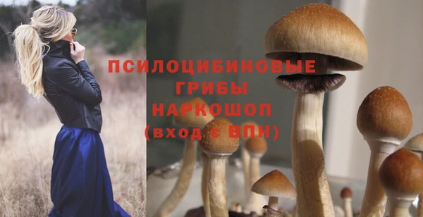 эйфоретик Кодинск