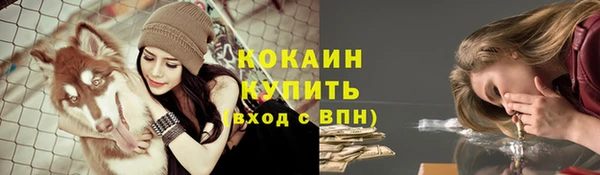 ALPHA PVP Козельск
