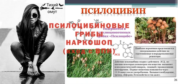 эйфоретик Кодинск