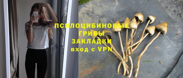 альфа пвп Козловка