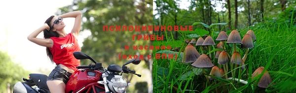 эйфоретик Кодинск