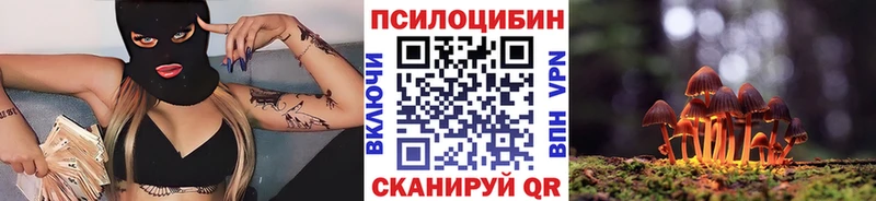 Купить  Моздок  Псилоцибиновые грибы GOLDEN TEACHER 